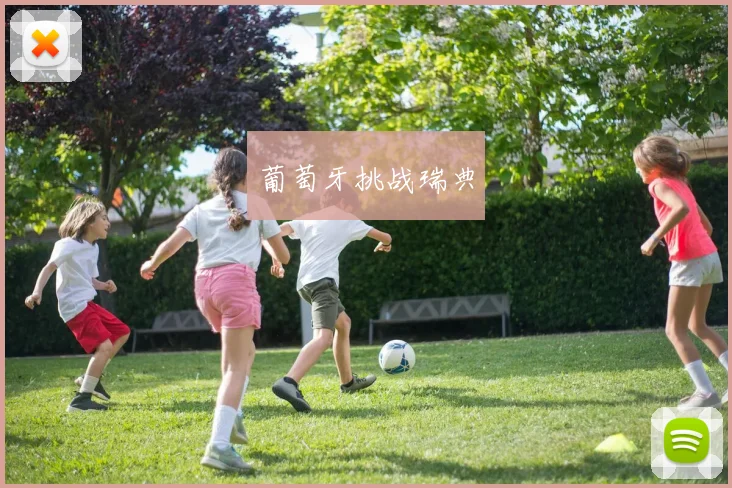 葡萄牙挑战瑞典