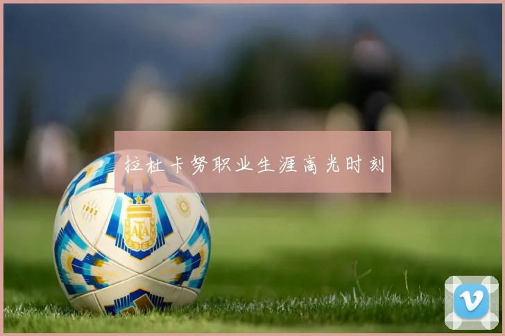 拉杜卡努职业生涯高光时刻