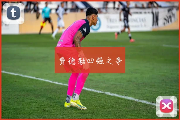 费德勒四强之争
