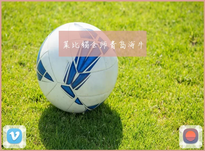 莱比锡会师青岛海牛