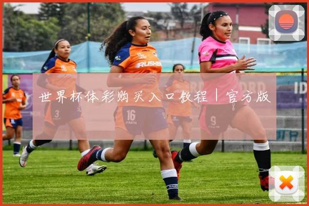 世界杯体彩购买入口教程｜官方版