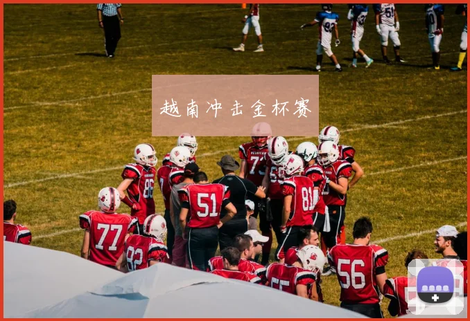 越南冲击金杯赛