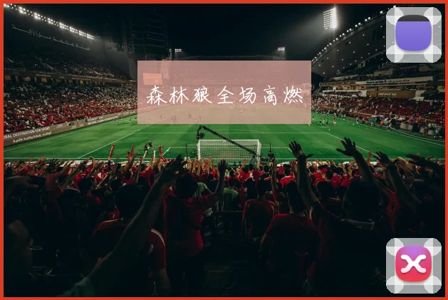 森林狼全场高燃
