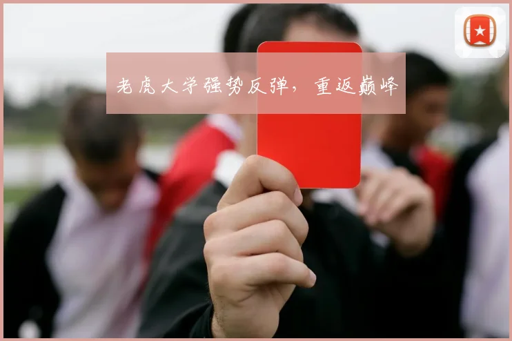 老虎大学强势反弹，重返巅峰