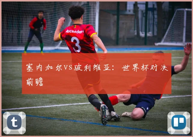 塞内加尔vs玻利维亚：世界杯对决前瞻