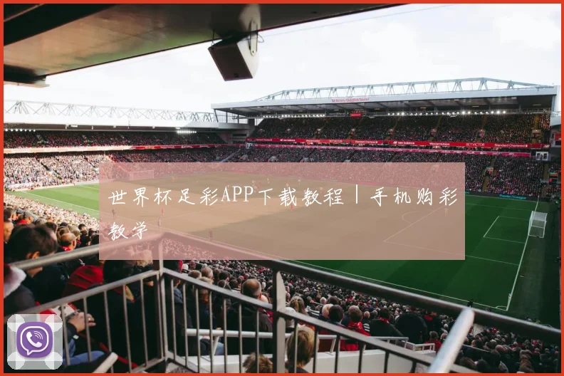 世界杯足彩APP下载教程｜手机购彩教学