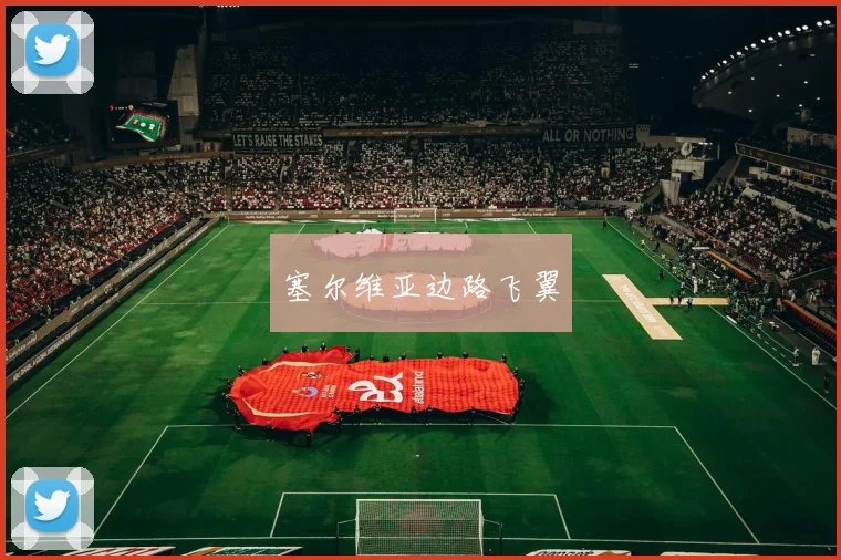 塞尔维亚边路飞翼