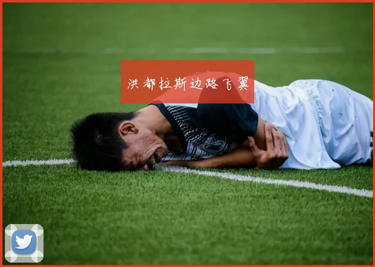 洪都拉斯边路飞翼