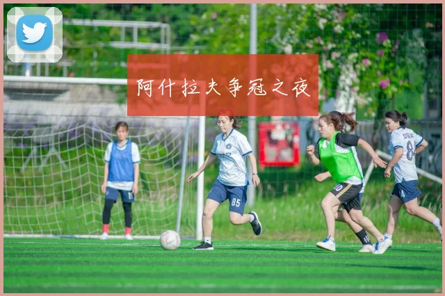 阿什拉夫争冠之夜