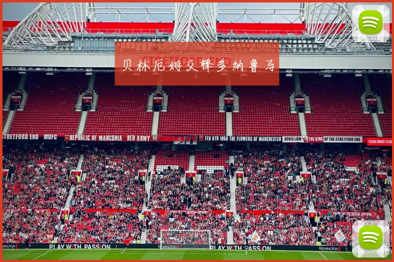 贝林厄姆交锋多纳鲁马