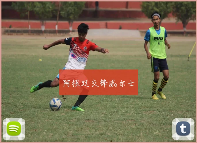 阿根廷交锋威尔士