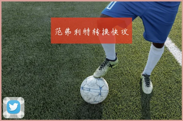 范弗利特转换快攻