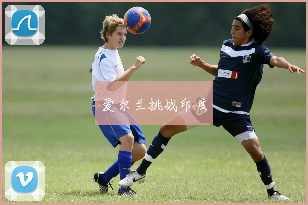 爱尔兰挑战印度