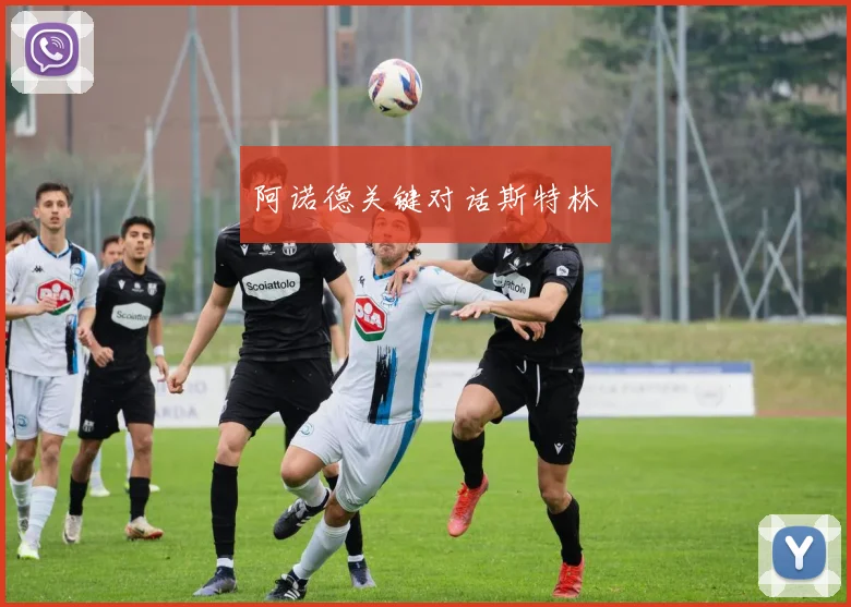 阿诺德关键对话斯特林