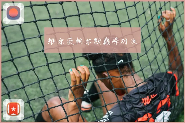 维尔茨帕尔默巅峰对决