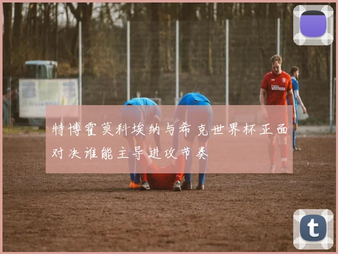 特博霍莫科埃纳与希克世界杯正面对决谁能主导进攻节奏