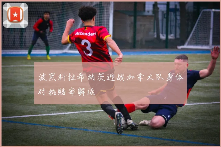 波黑科拉希纳茨迎战加拿大队身体对抗赔率解读
